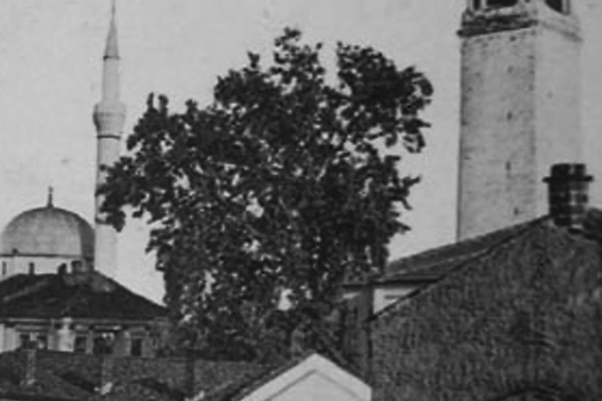 Preserved historical photograph of Bitola from the Macedonian Cities archive, 30 of 65