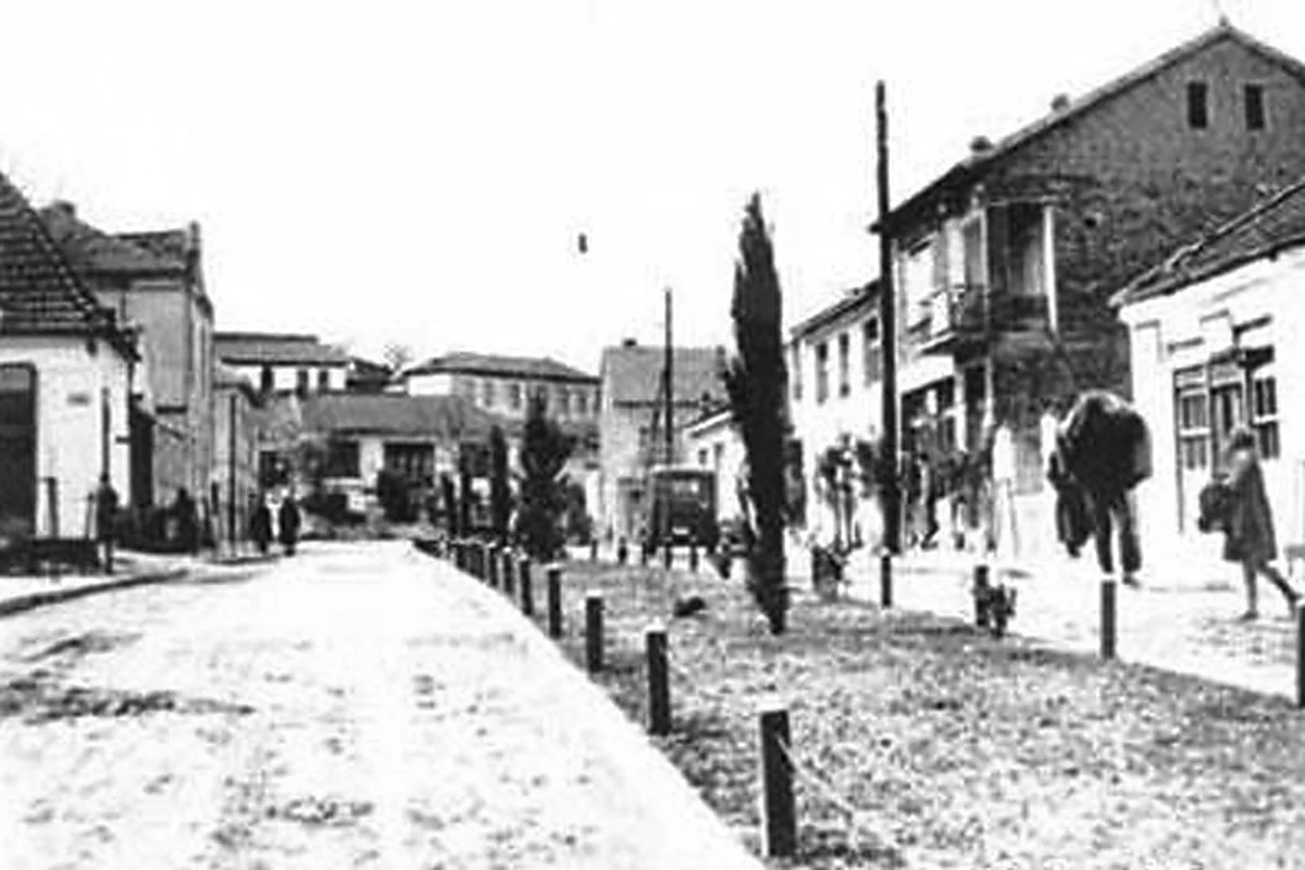 Preserved historical photograph of Negotino from the Macedonian Cities archive, 2 of 15