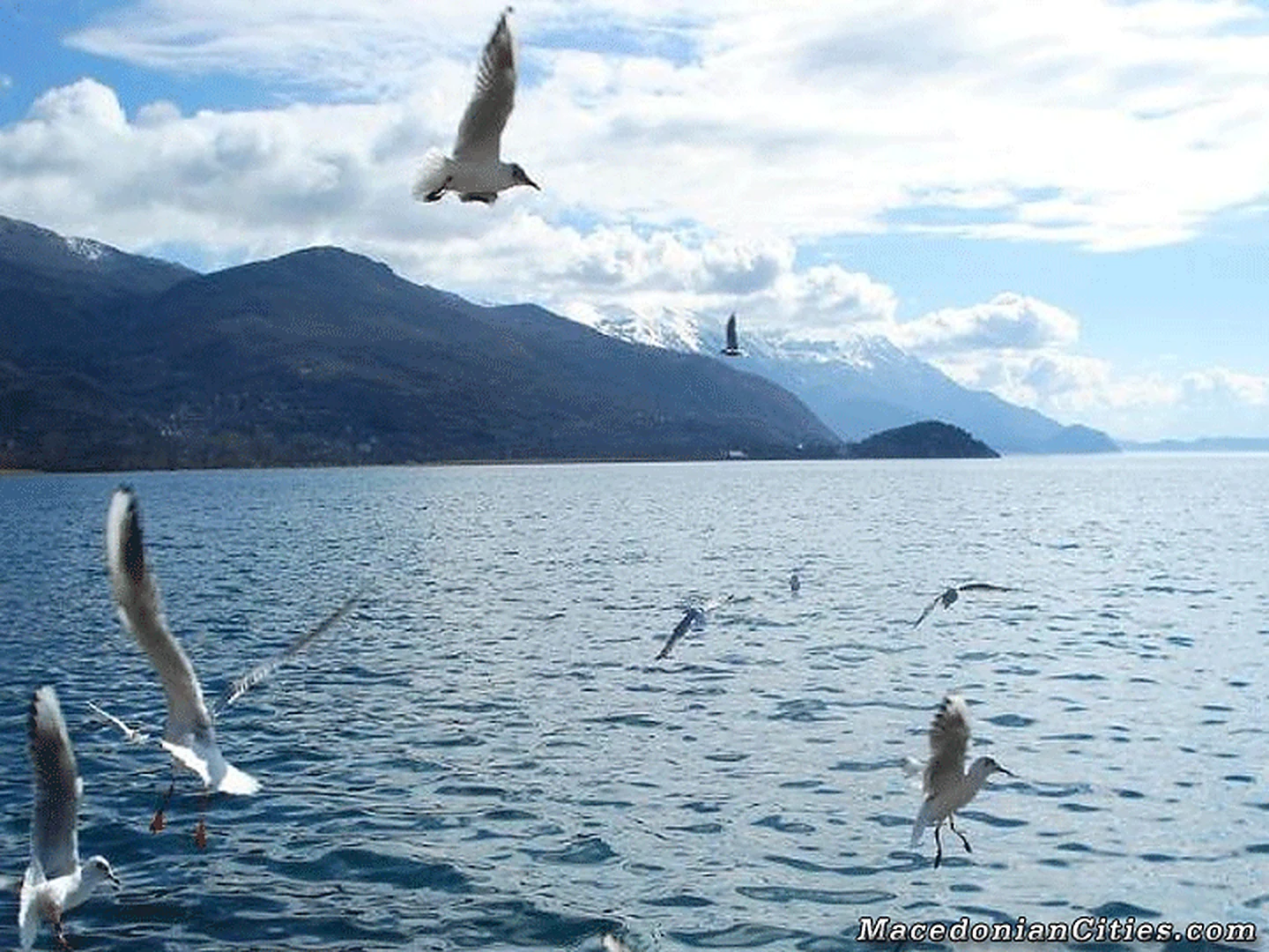 City photograph of Ohrid, 32 of 55