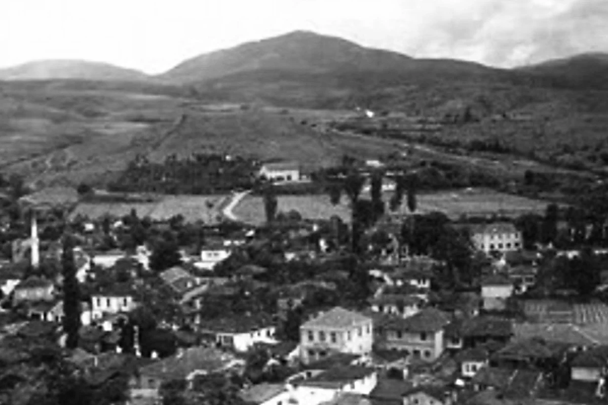 Preserved historical photograph of Radovish from the Macedonian Cities archive, 11 of 14