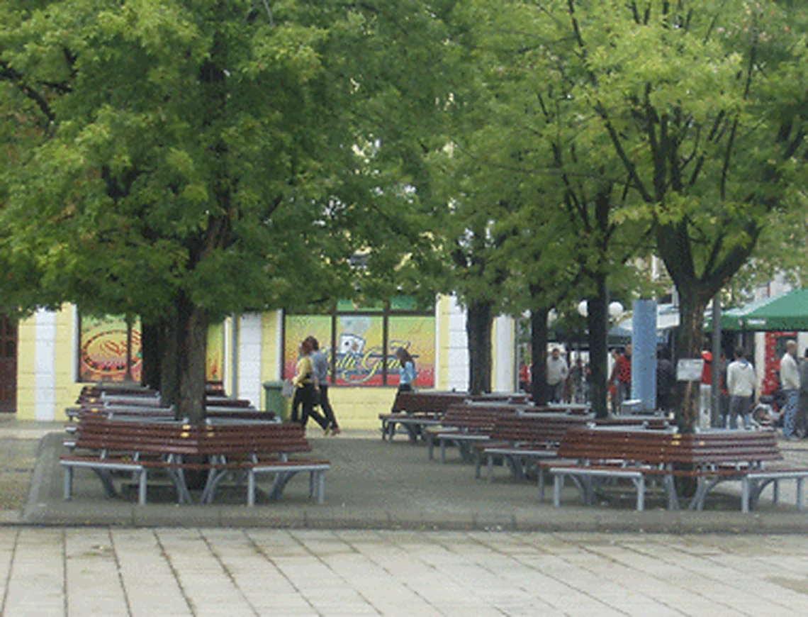 City photograph of Resen, 28 of 30