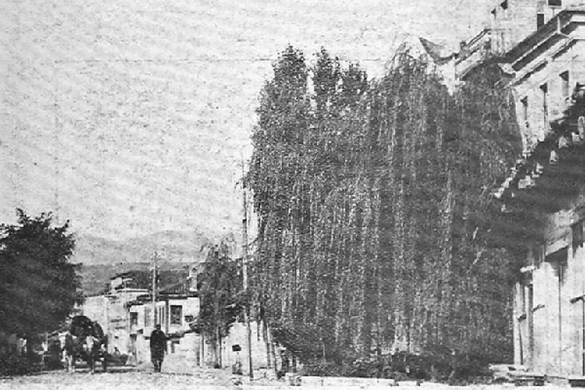 Preserved historical photograph of Resen from the Macedonian Cities archive, 5 of 10