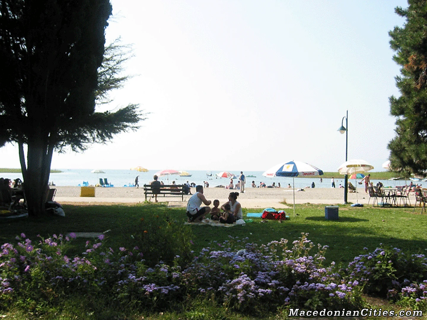 City photograph of Struga, 40 of 55
