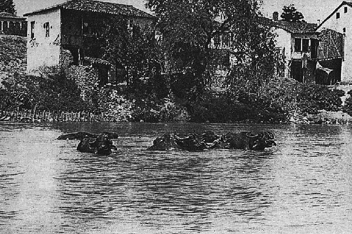 Preserved historical photograph of Veles from the Macedonian Cities archive, 18 of 34
