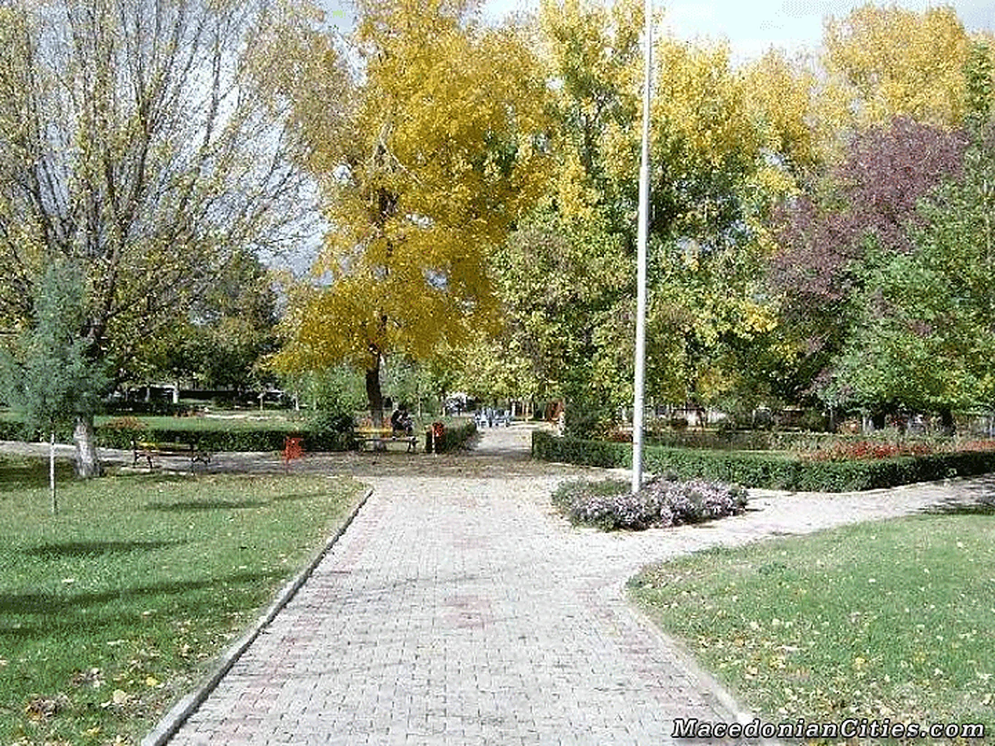 City photograph of Vinica, 10 of 30
