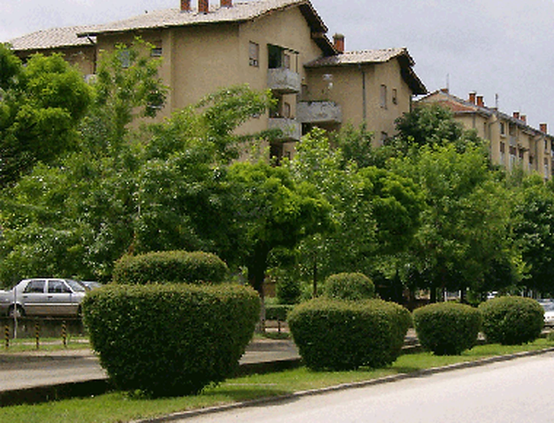 City photograph of Vinica, 28 of 30